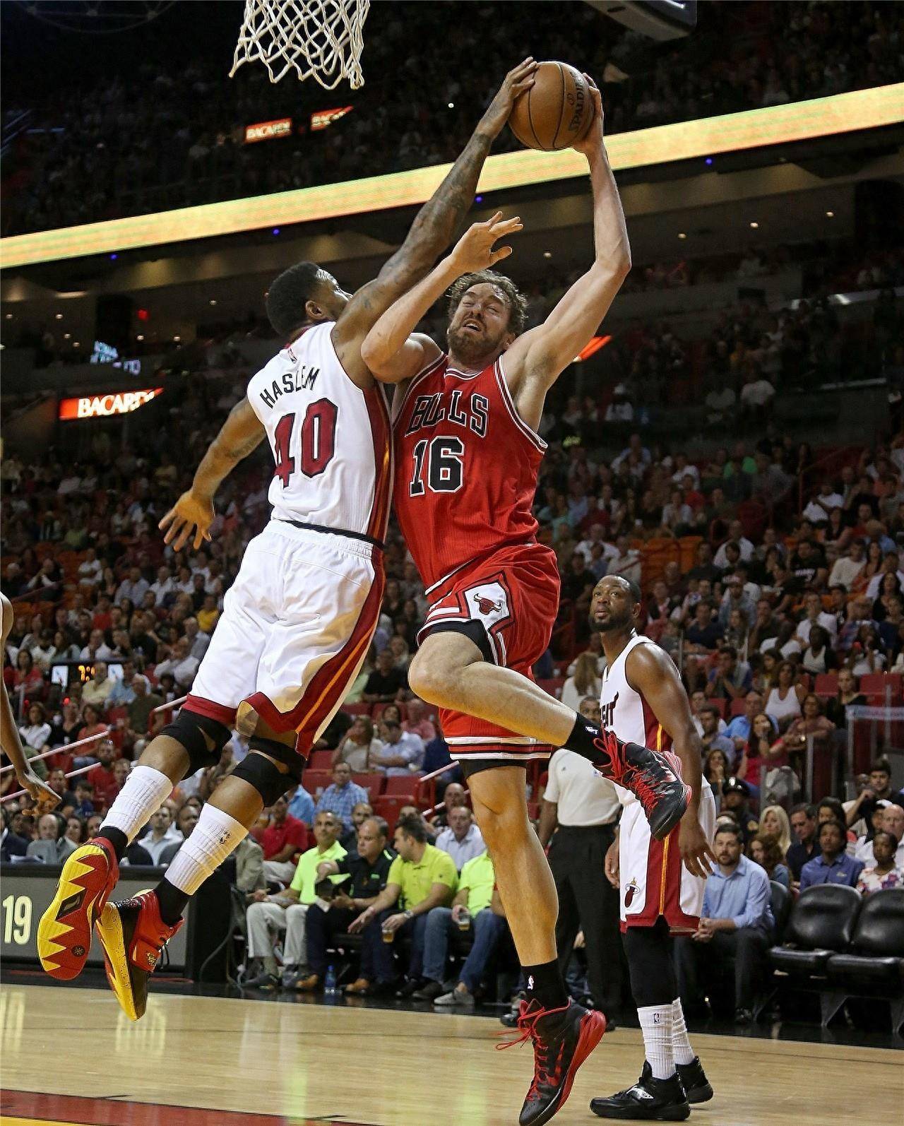 科学训练 科学训练